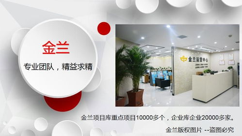 開封專業(yè)項(xiàng)目建議書編制與市場營銷策劃服務(wù)公司指南