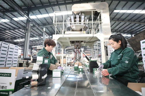 強(qiáng)勢霸屏 中央主流媒體聚焦邢臺(tái)工程與技術(shù)創(chuàng)新